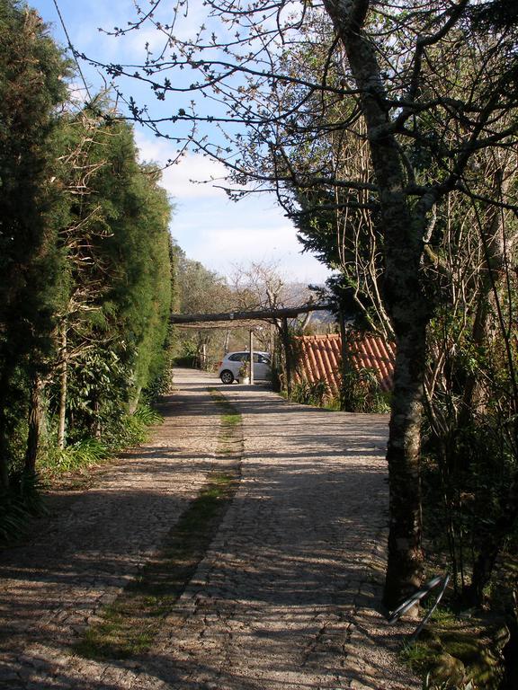Pensjonat Casa Do Moleiro Cinfães Zewnętrze zdjęcie